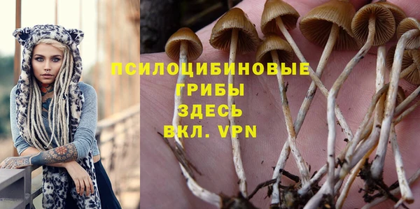 каннабис Ладушкин
