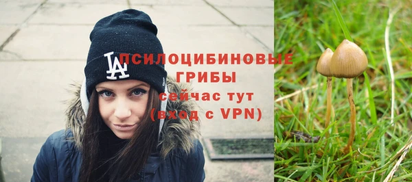 молекула духа Лагань