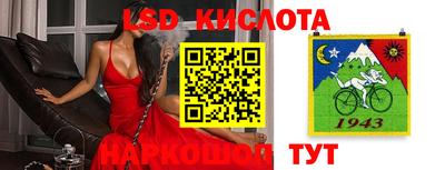 круглые Камышлов