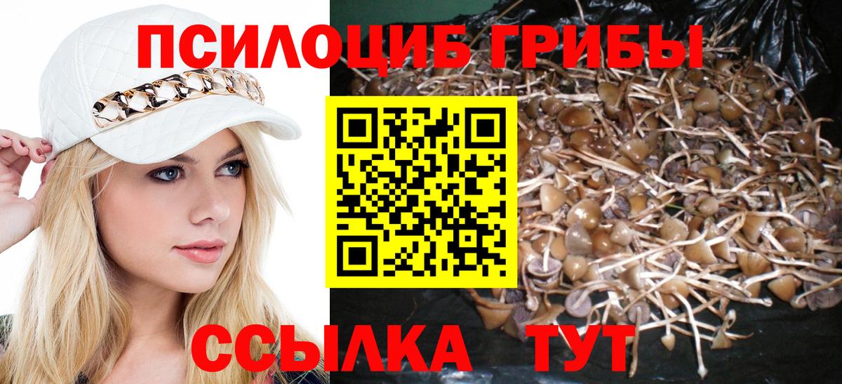 Чебаркуль  Псилоцибиновые грибы Magic Shrooms  Вход с VPN  Псилоцибиновые грибы ЛСД 